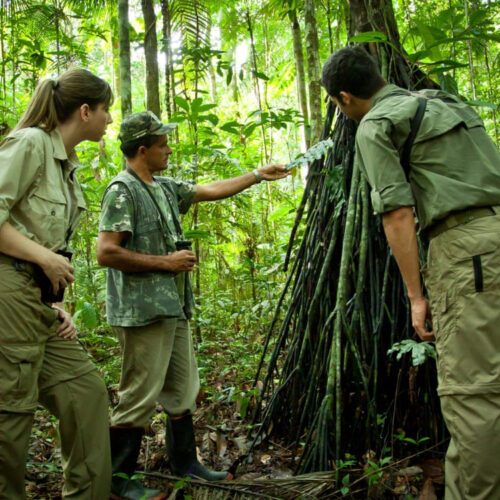 15 Facts about the Amazon Rainforest - Ecotourism hubspot