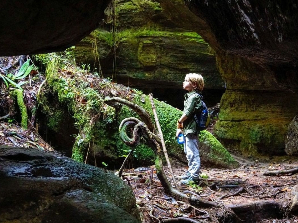 Best time to visit the Amazon in Brazil - Dry Season