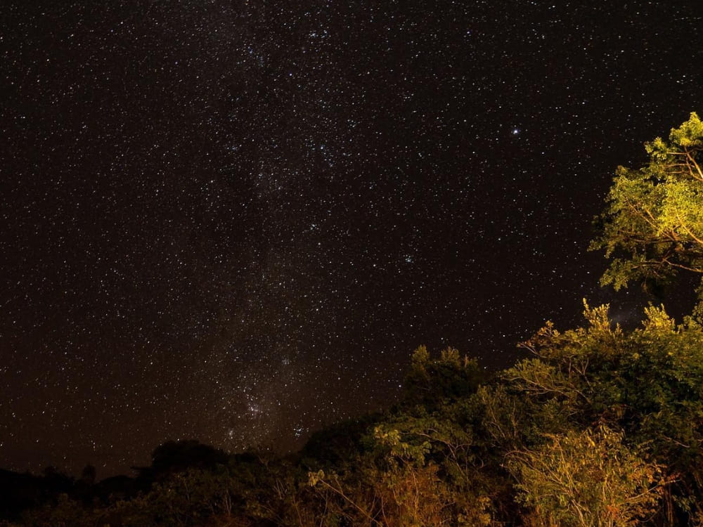 Night Sky on the Amazon