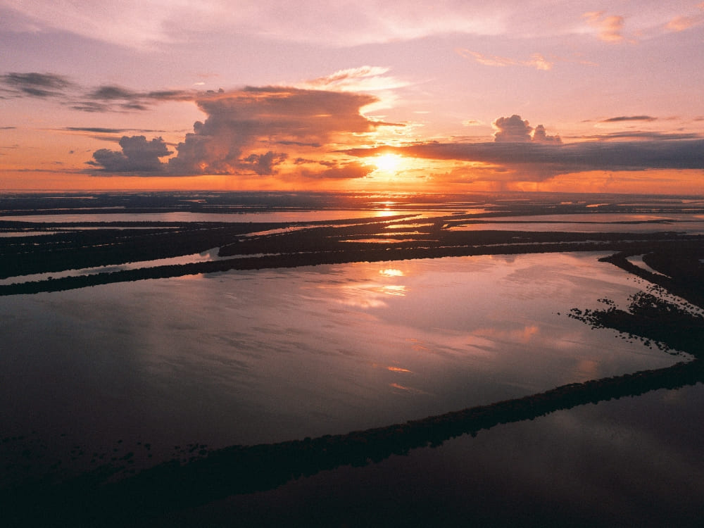 Best time to visit the Amazon in Brazil