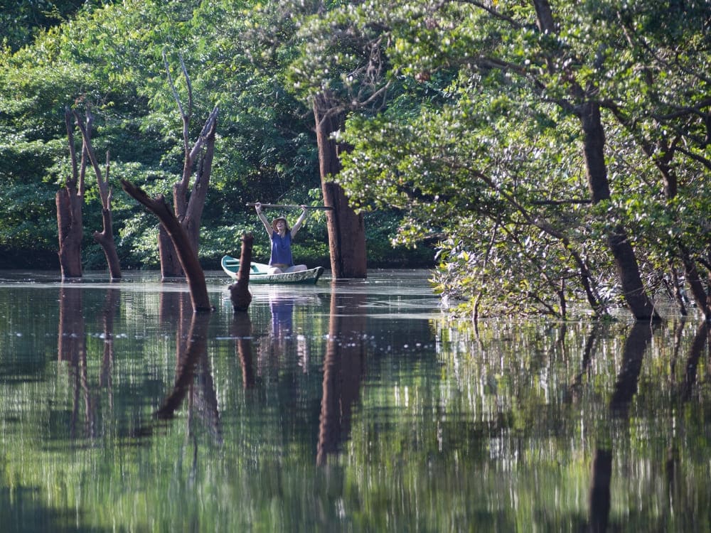  Canoë à travers la forêt inondée