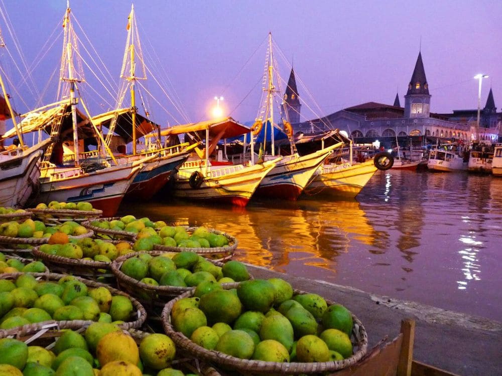 Pará Tours 