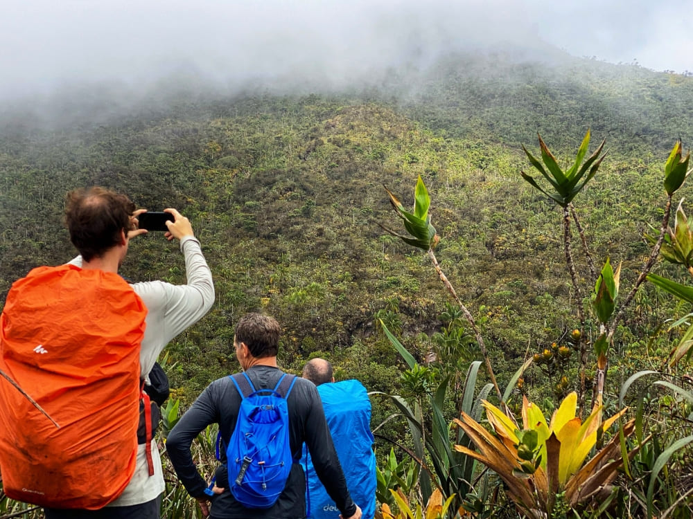 Les meilleures randonnées au Brésil - Pico Da Neblina