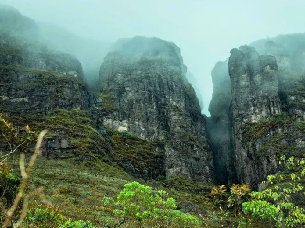 Beste wandeltochten in Brazilië - Pico Da Neblina