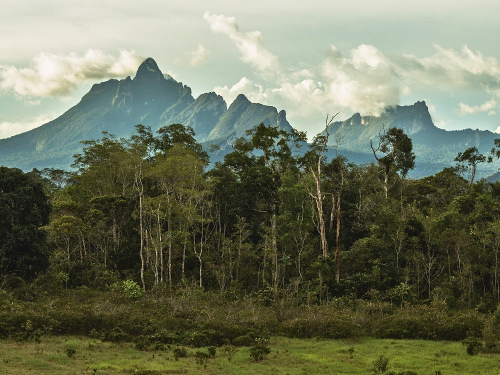 Best Hikes in Brazil - Pico Da Neblina