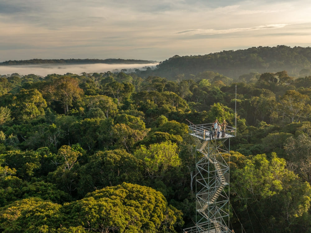 Tall metal observation tower rising above the Amazon rainforest canopy at Cristalino Jungle Lodge in Mato Grosso. Tall metal observation tower rising above the Amazon rainforest canopy at Cristalino Jungle Lodge in Mato Grosso.