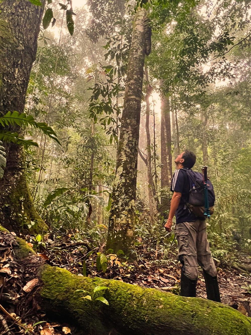 Best Hikes in Brazil - Pico Da Neblina