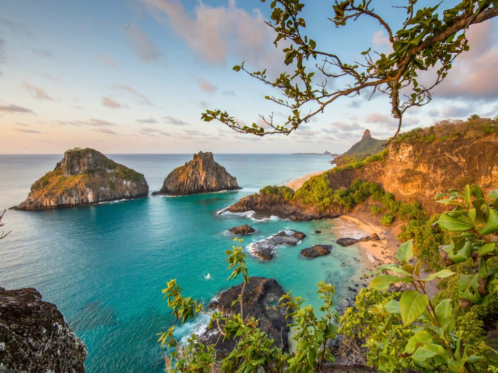 Fernando de Noronha Diving Guide 