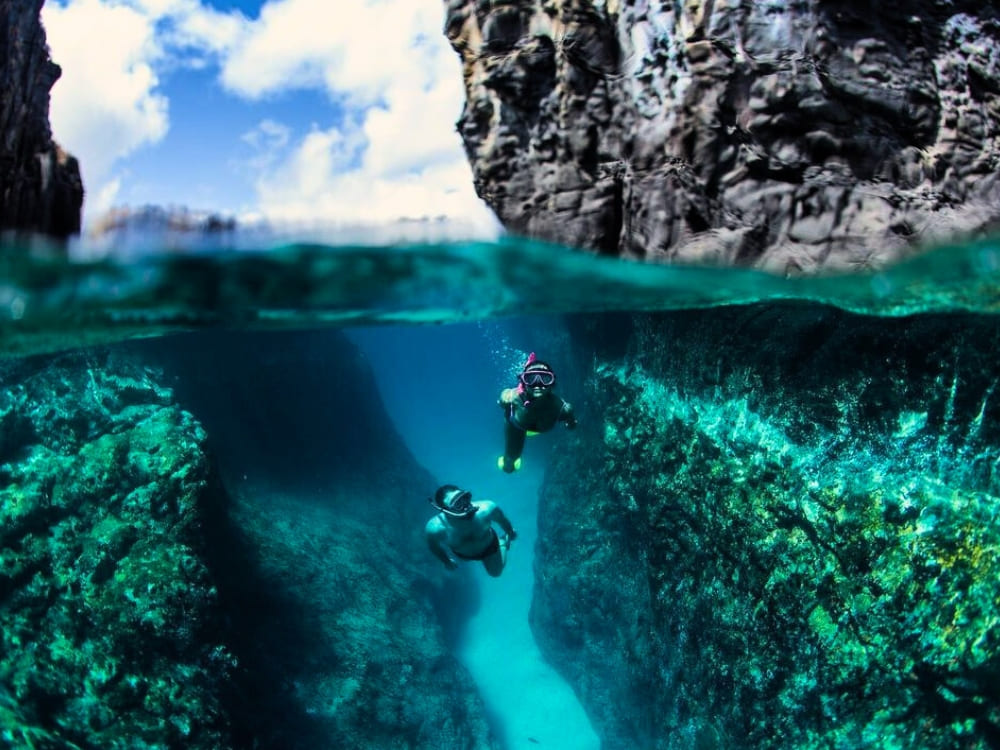 Fernando de Noronha Diving Guide