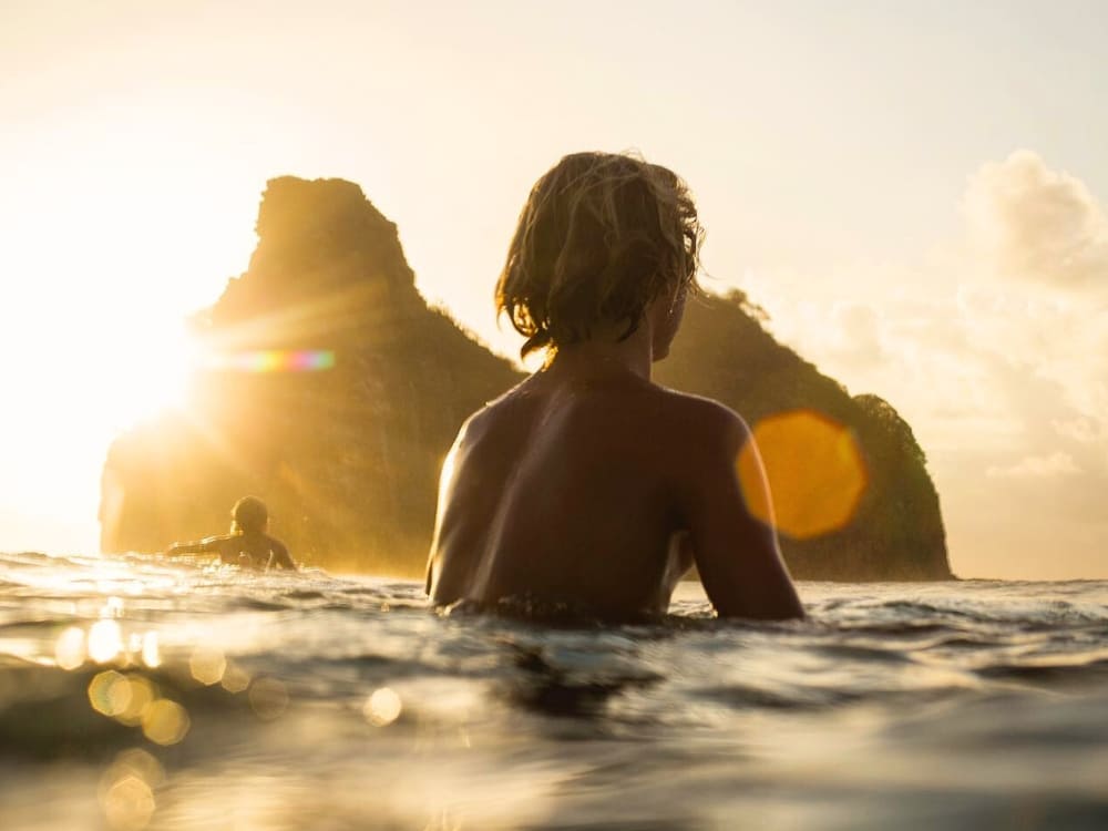 Fernando de Noronha Diving Guide