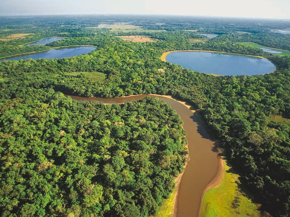 Parcs nationaux au Brésil - Pantanal