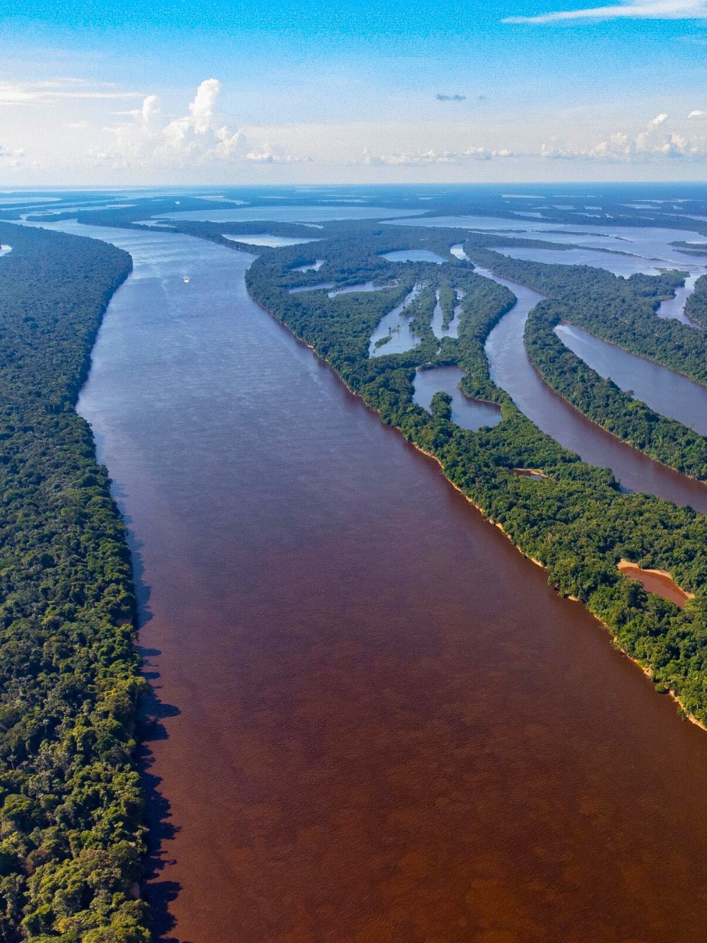 Nationalparks in Brasilien - Anavilhanas