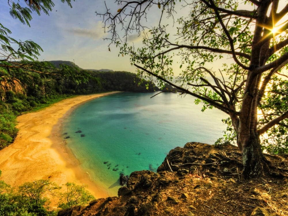 when is the best time to dive in fernando de noronha