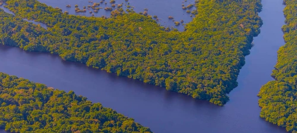 15 Facts about the Amazon Rainforest in Brazil