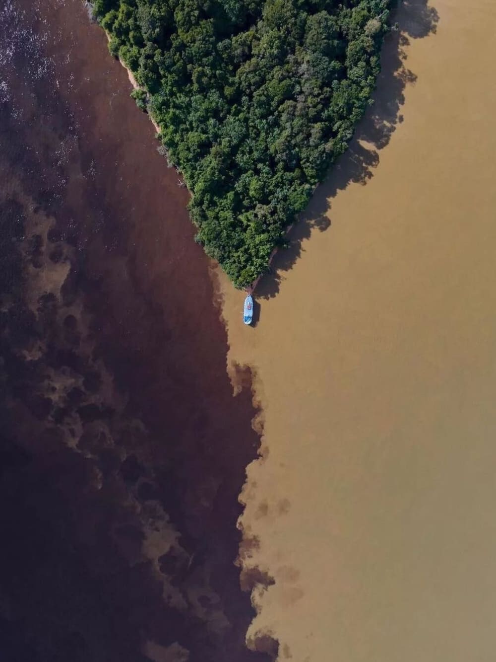 15 faits sur la forêt amazonienne au Brésil - La rencontre des eaux