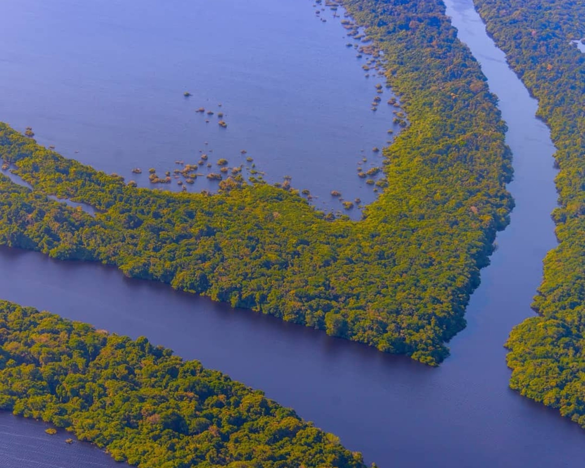 15 Fakten über den Amazonas-Regenwald in Brasilien