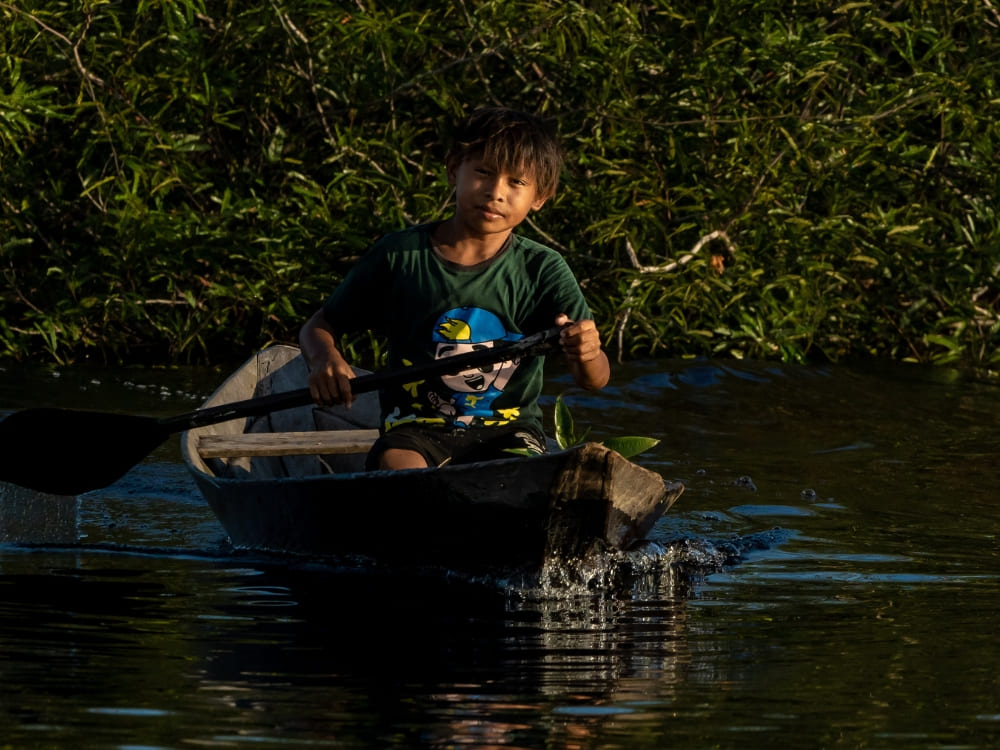 15 Fakten über den Amazonas-Regenwald in Brasilien - Kulturelle Erlebnisse 