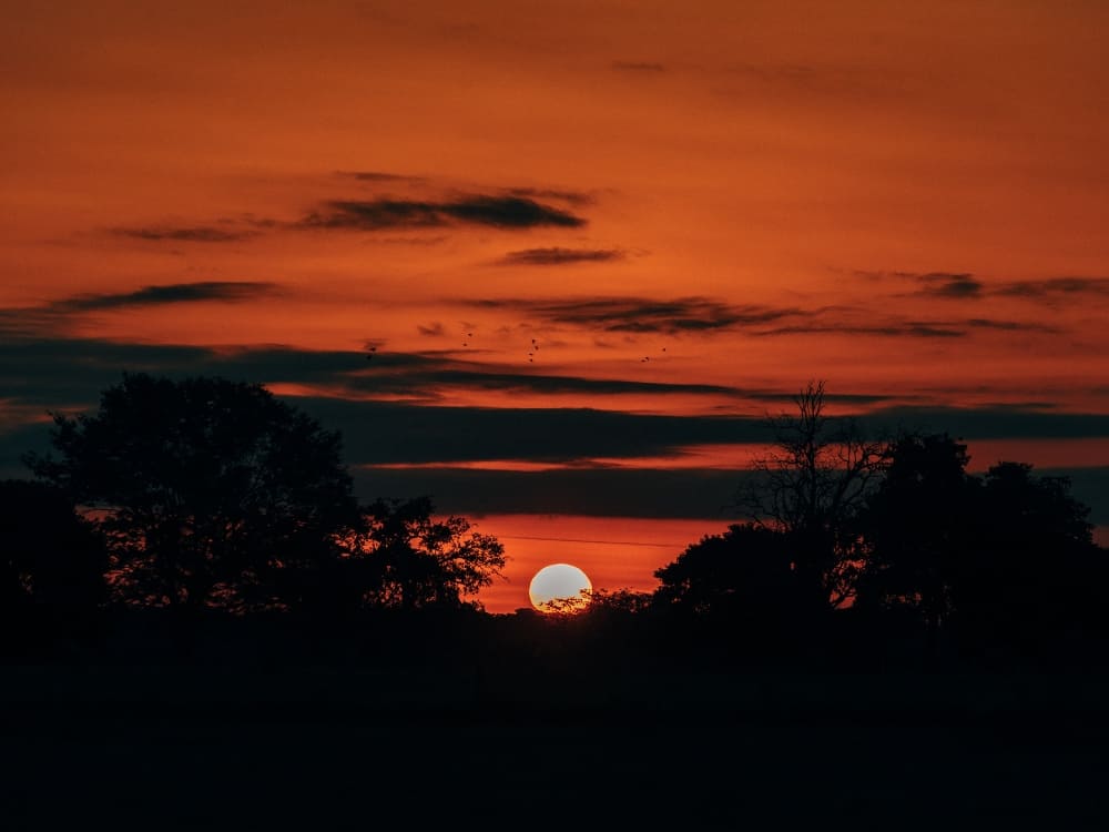 Facts about the Pantanal Brazil