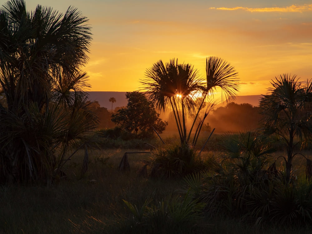 Jalapão - How to visit the Cerrado in Brazil