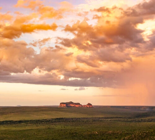 How to visit the Cerrado in Brazil (6) (1)