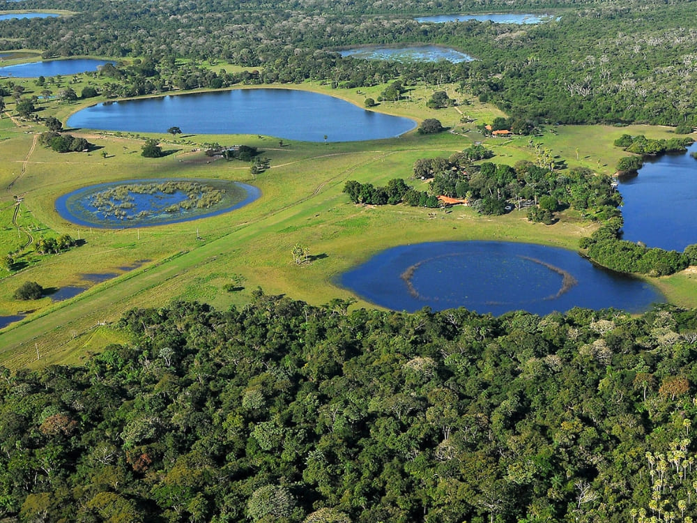 Aerial view showing the breathtaking natural lakes and green wetlands surrounding the Barranco Alto farm.