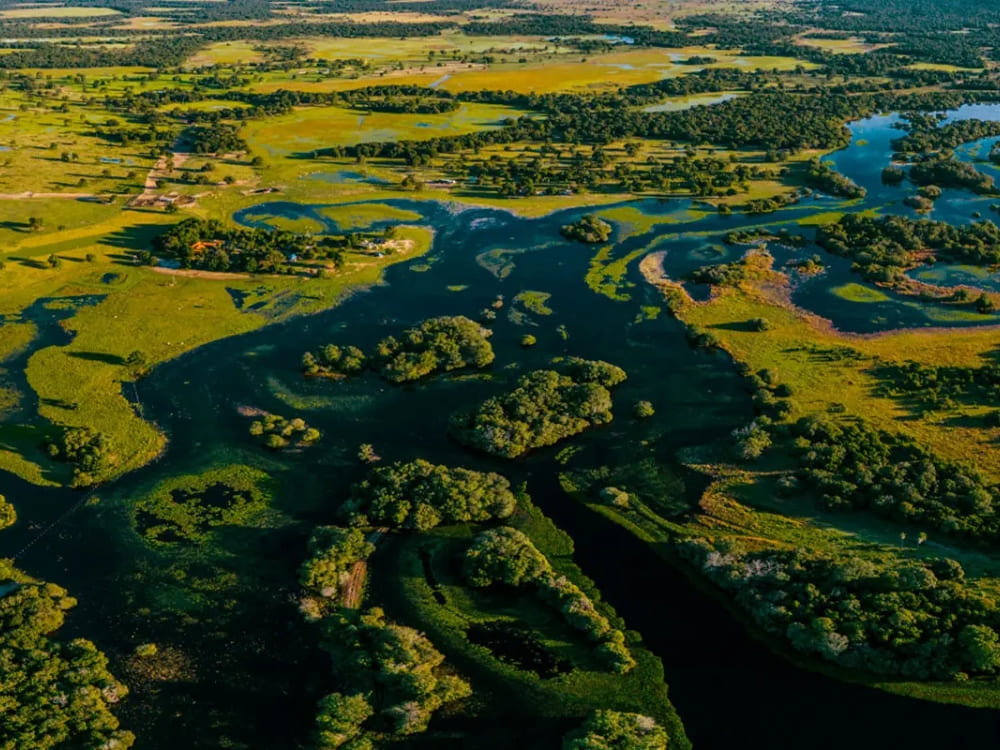  Winding rivers and open green savannas dominate the remote landscape of the Southern Pantanal near Baía das Pedras. 