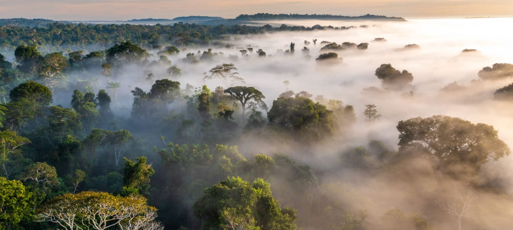 8 conservation projects in the Amazon to support in 2025 (3) (1)