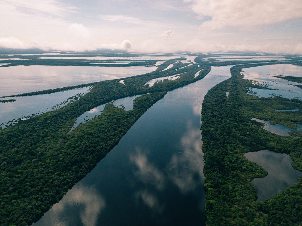 8 projets de conservation en Amazonie à soutenir en 2025