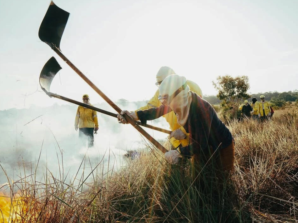 Brigada do Alter - Amazon Conservation Projects