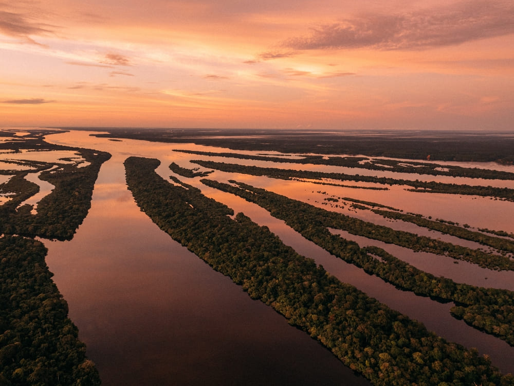 Aerial view of the dark waters of the Negro River and forested islands of Anavilhanas National Park at sunset. 