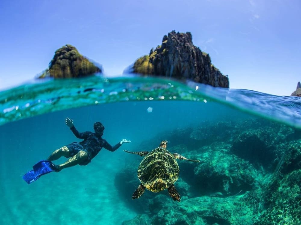 Snorkeler swimming with a sea turtle in the clear marine waters of Fernando de Noronha National Park. 