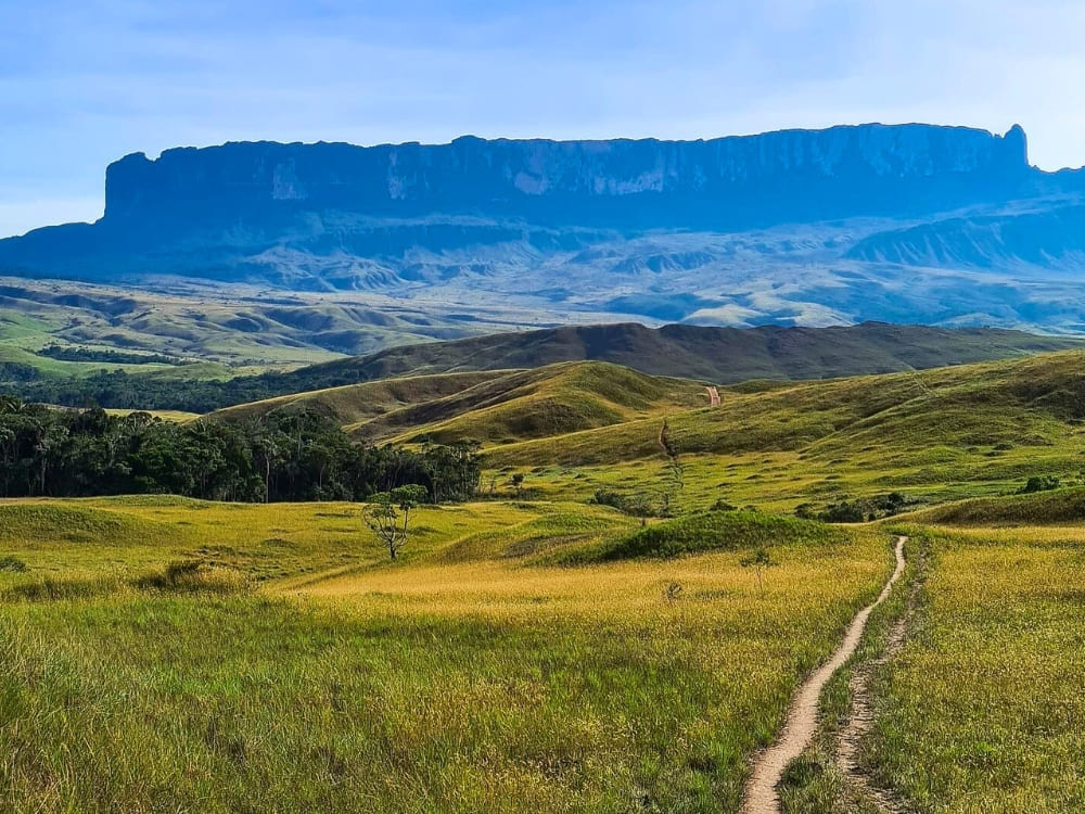 Hiking trail leading through the savanna towards the towering cliffs of Mount Roraima National Park. 