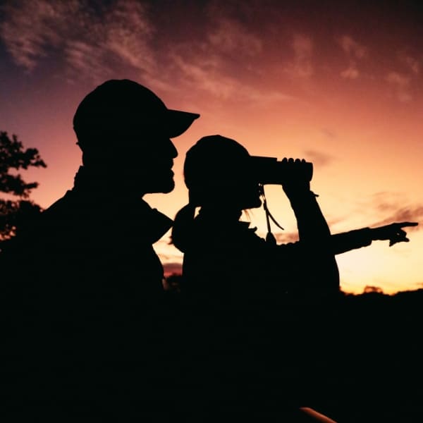 Silhouette of ecotourists spotting wildlife with binoculars at sunset, a classic moment during Pantanal safari tours.