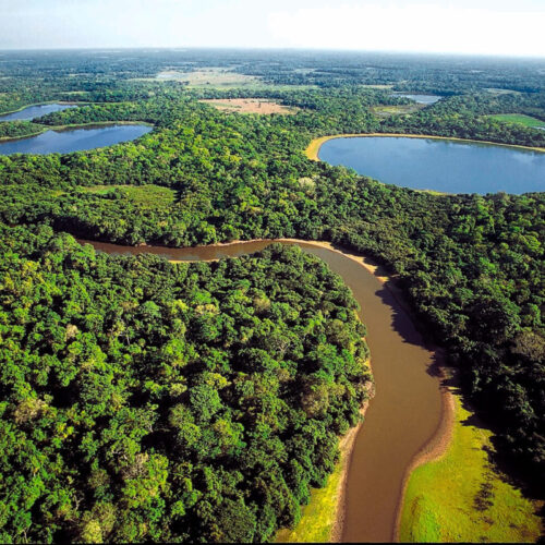 Alt Text: An aerial view of winding rivers and lush green forests in the Pantanal, showcasing the vast landscapes of this Brazilian wetland.