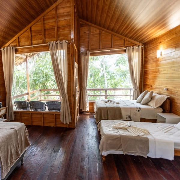 A cozy chalet bedroom with beds and large windows offering stunning views at Dolphin Lodge.
