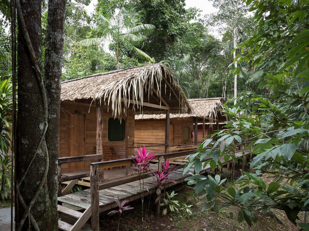 Wooden chalets with thatched roofs connected by a walkway at Dolphin Lodge, a great Amazon rainforest hotel.