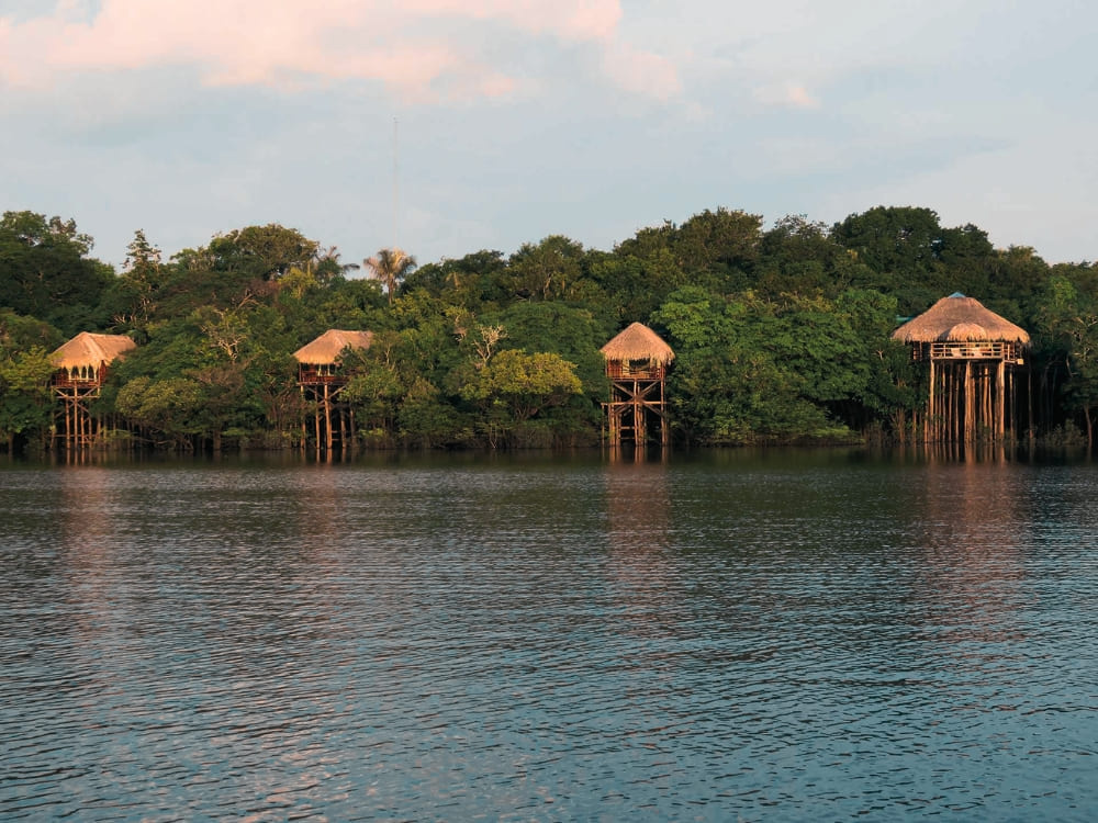 High-end bungalows built on tall stilts over the river at Juma Amazon Lodge, a premier Amazon jungle lodge in Brazil. High-end bungalows built on tall stilts over the river at Juma Amazon Lodge, a premier Amazon jungle lodge in Brazil.