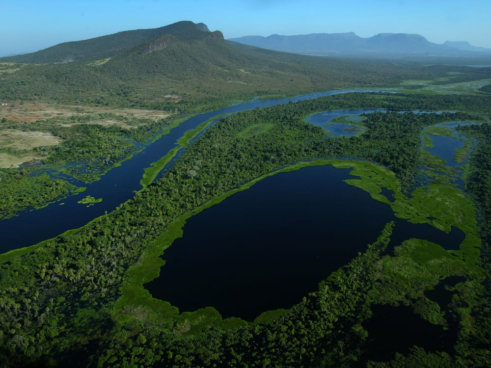 Aerial view of a deep blue river winding through the vast green plains of the region where is the Pantanal located.