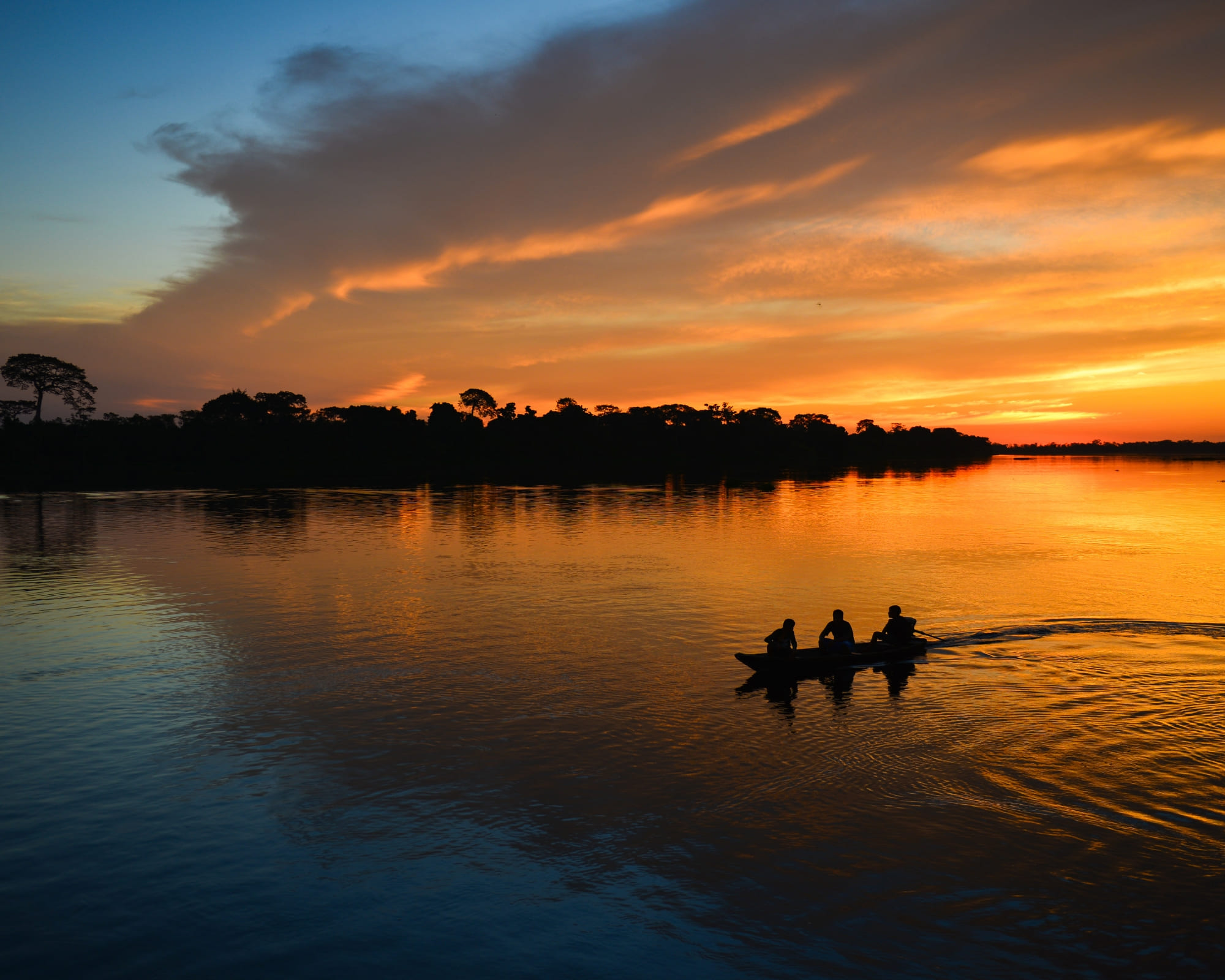 Pantanal or the Amazon: Which One Should You Choose?