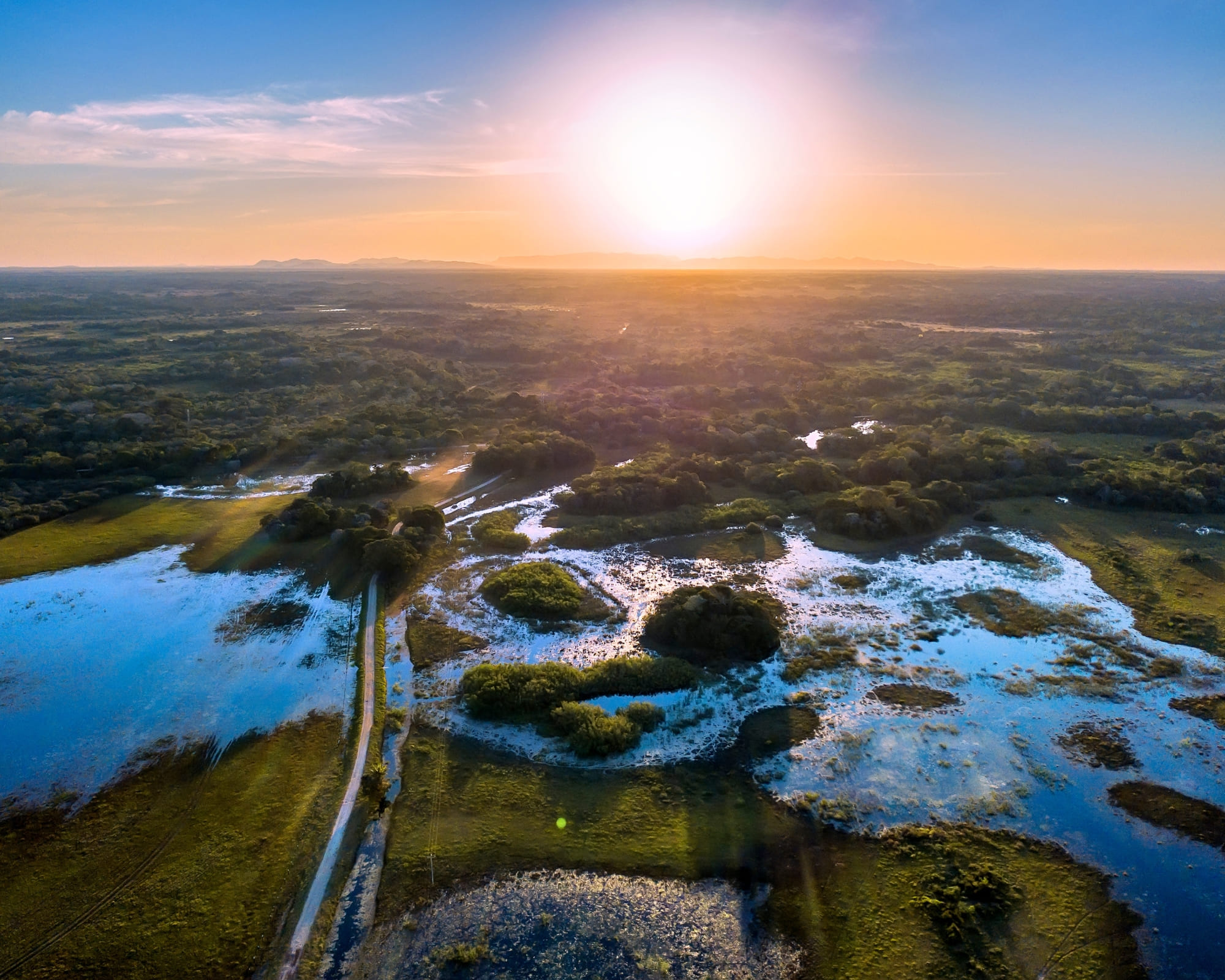 3 Wege nachhaltigen Tourismus im Pantanal schützt Wildtiere