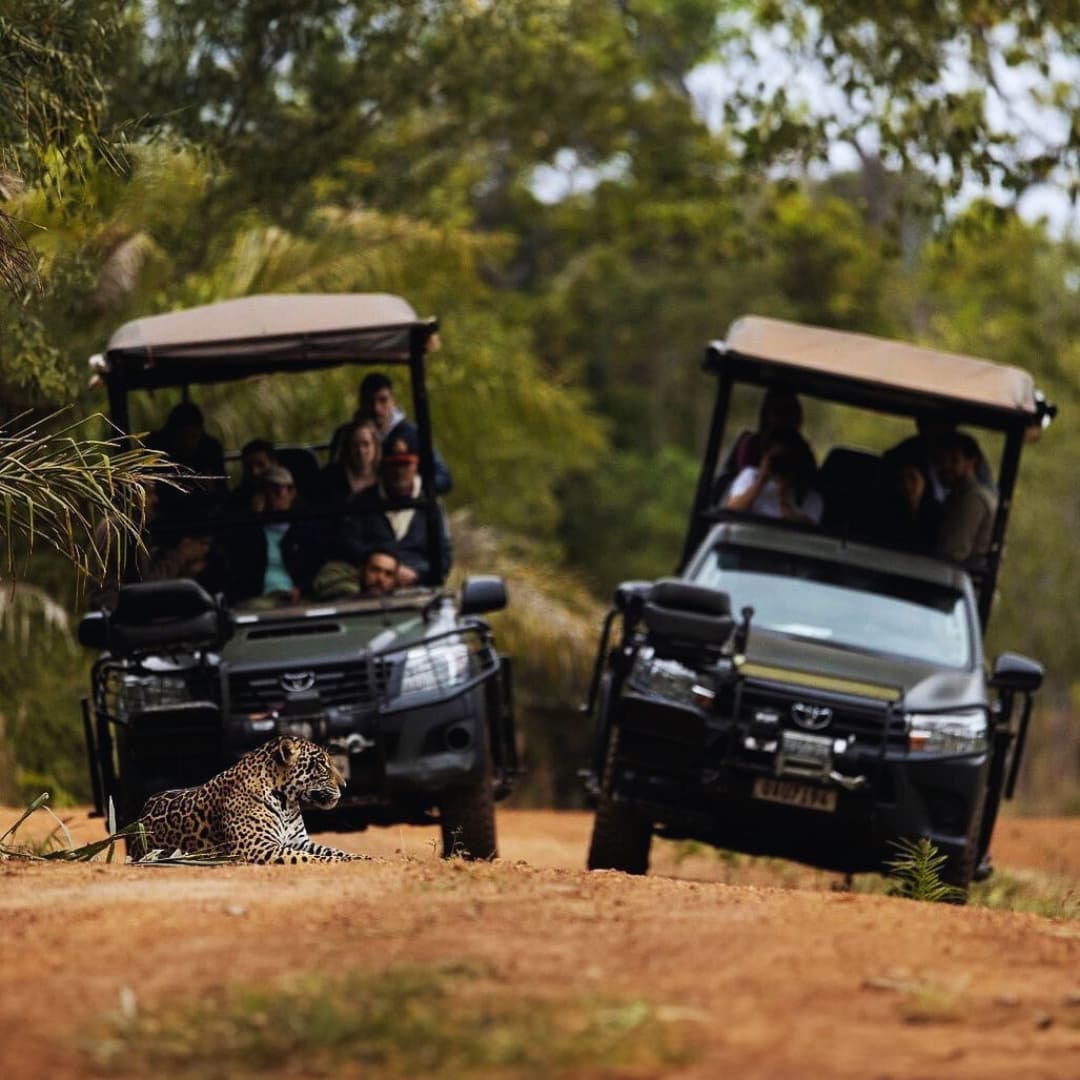 Criação de Incentivos Econômicos para a Conservação no Pantanal
