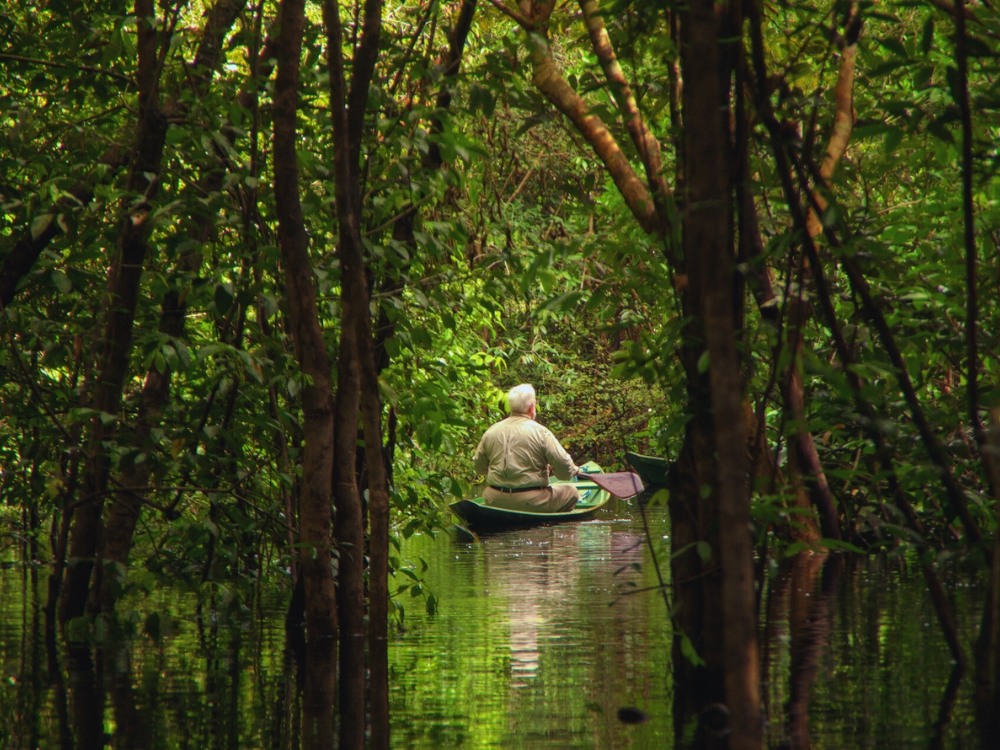 10 Reisetipps für den Amazonas-Regenwald, um das Beste aus deinem Abenteuer zu machen