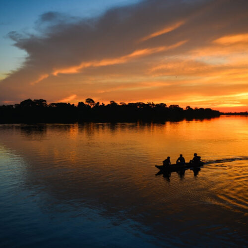 Pantanal vs Amazon