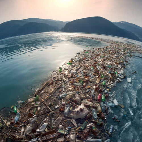 World Environment Day