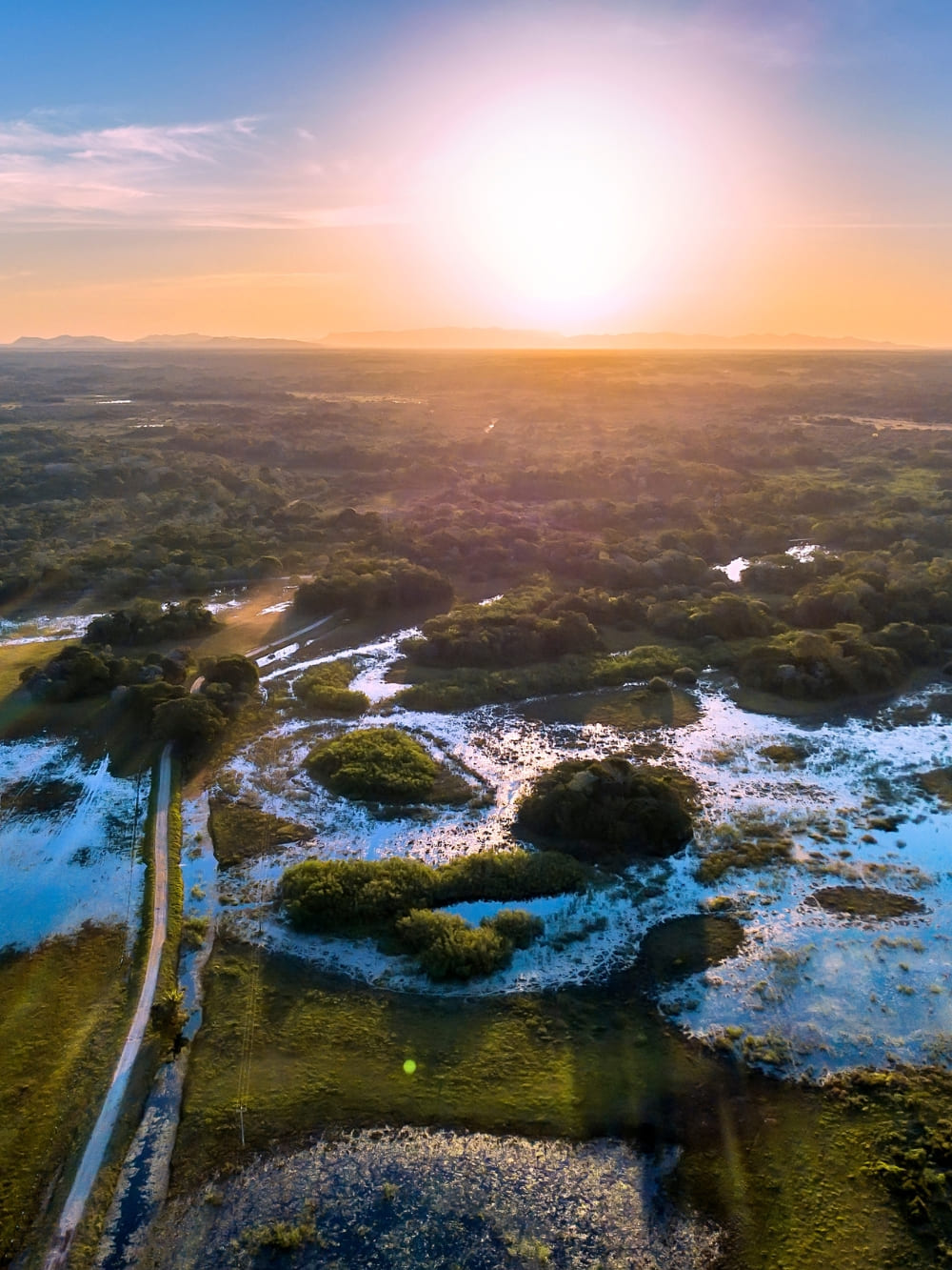 North or South Pantanal