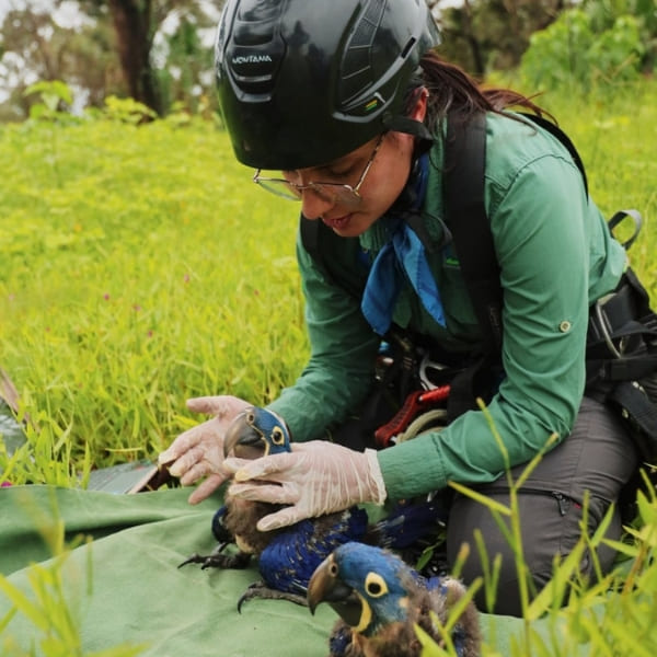 Supporting Scientific Research and Wildlife Monitoring