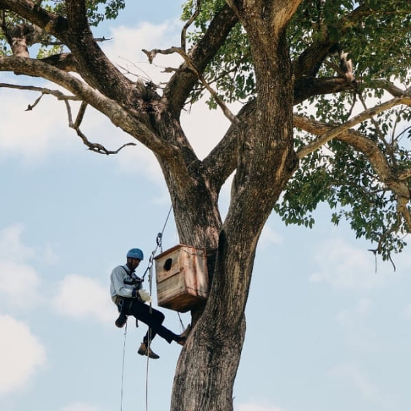 Supporting Scientific Research and Wildlife Monitoring