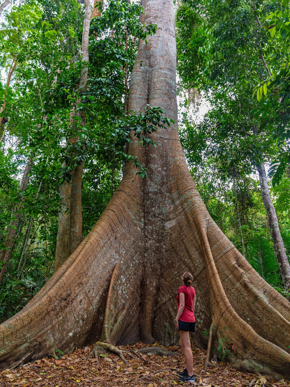 Ecotourism Travel consciously