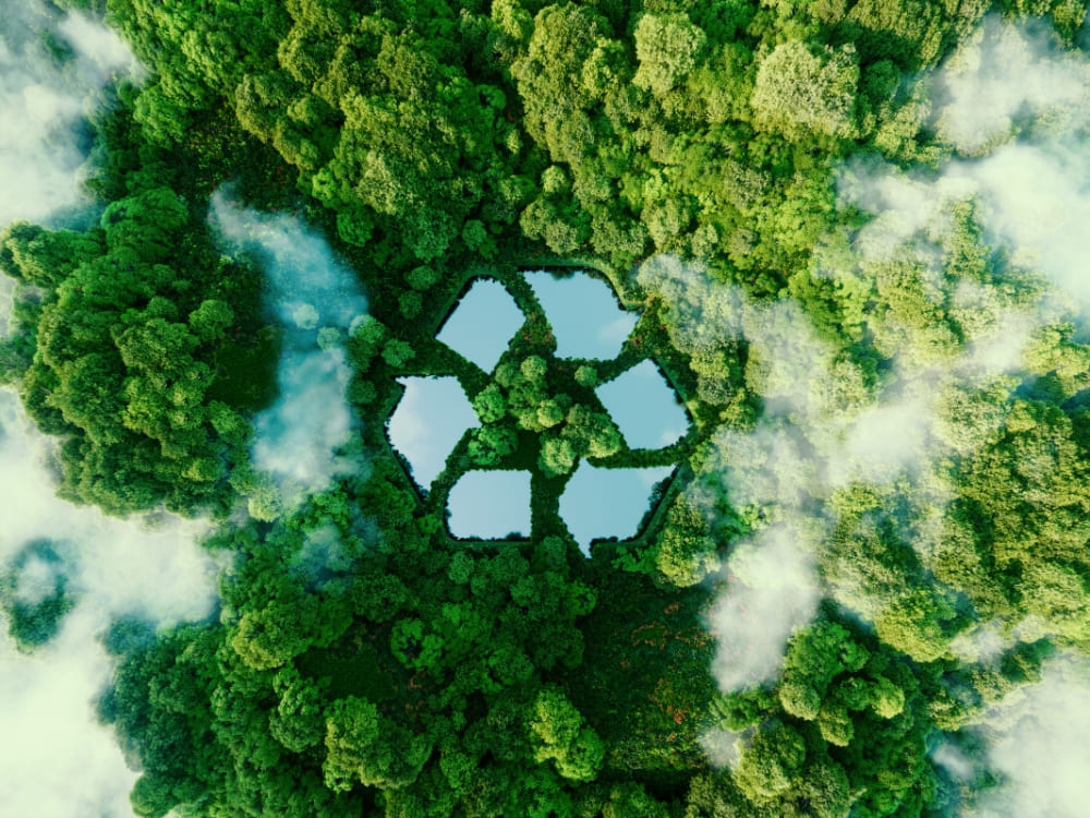 World Environment Day