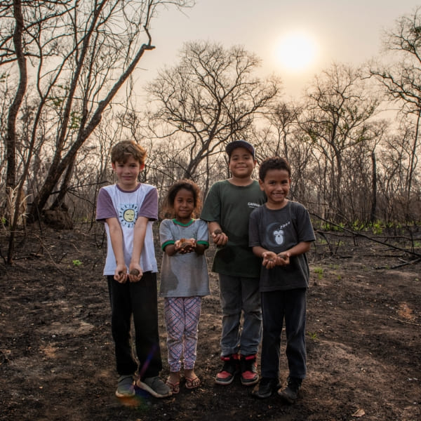 Environmental recovery Pantanal